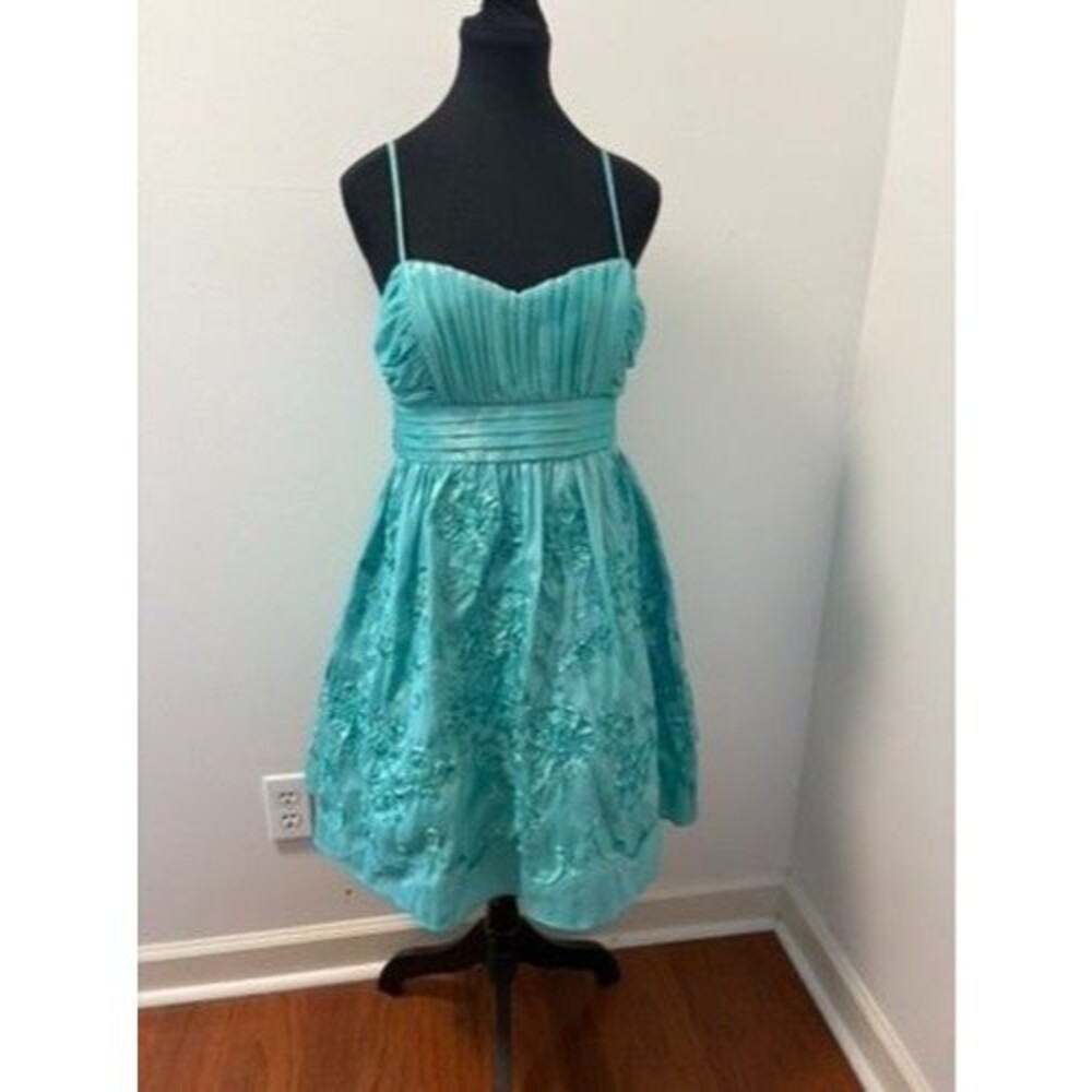 Fairy Coquette Aqua Blue Floral Embroidered Cocktail Dress womens Size 9 Party